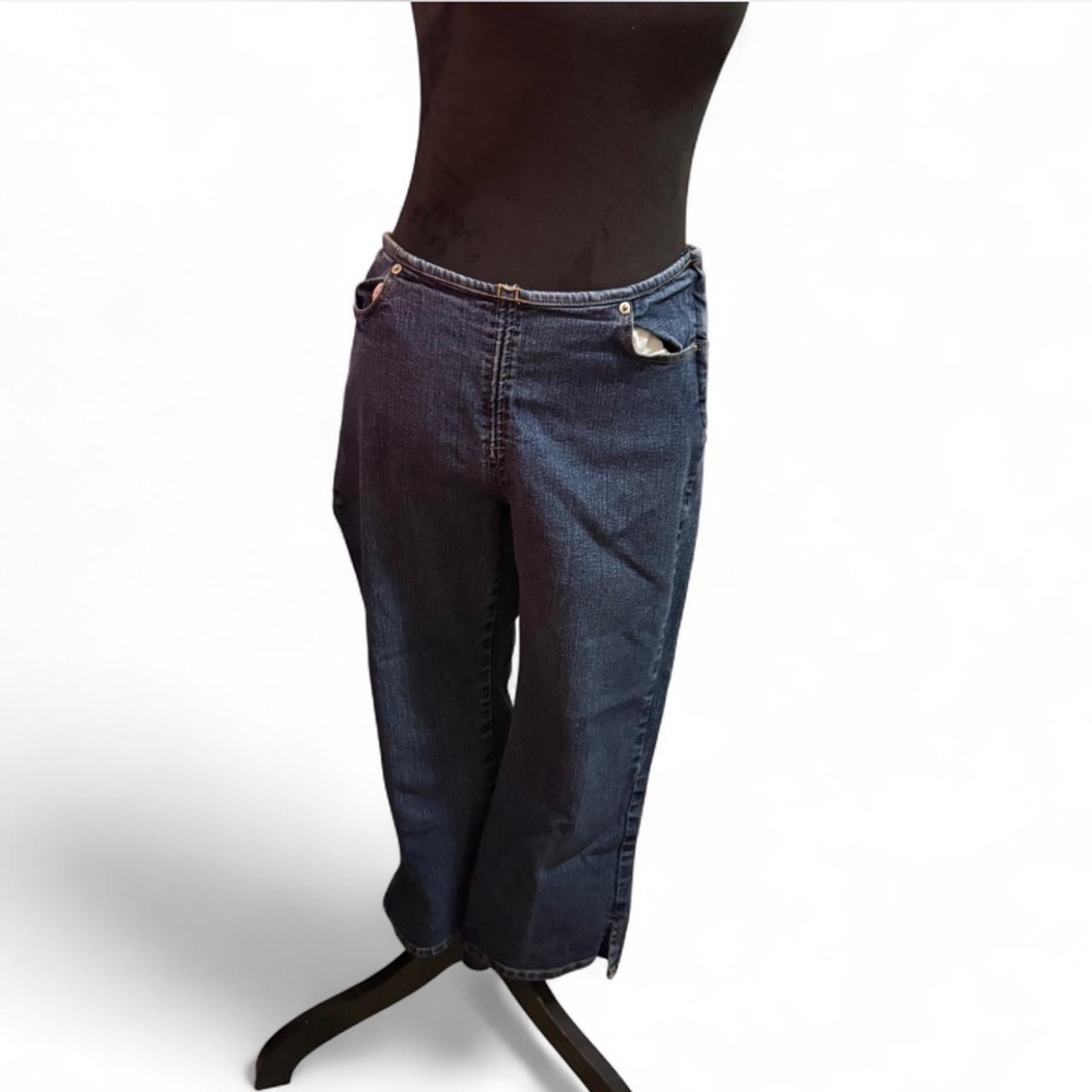 Jordache Blue Low Rise Jeans